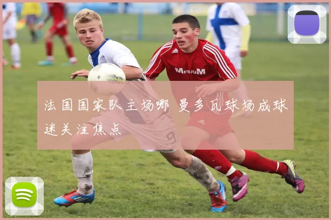 法国国家队主场哪 曼多瓦球场成球迷关注焦点